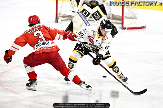 2025-01-06 Mastini Varese-Alleghe Hockey 3181 Alex Bertin